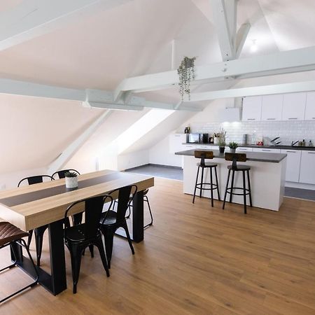 Appartement Atypique Proche Gare/ Dans L'Hyper-Centre Spacieux Pour 6P Au Coeur De Mulhouse Ngoại thất bức ảnh