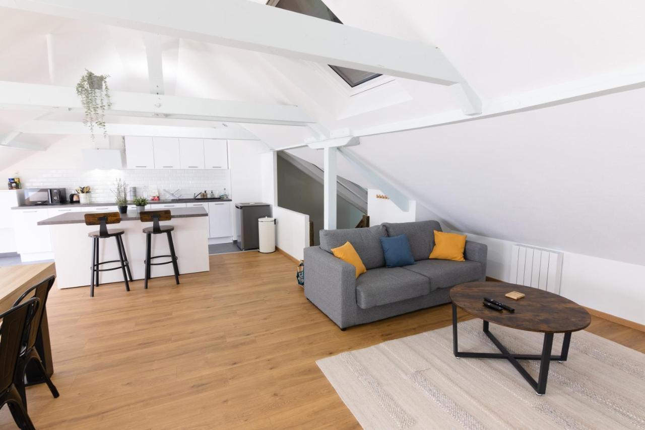 Appartement Atypique Proche Gare/ Dans L'Hyper-Centre Spacieux Pour 6P Au Coeur De Mulhouse Ngoại thất bức ảnh