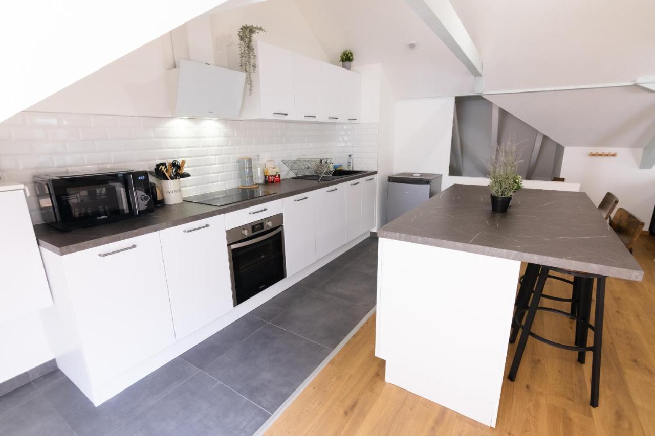 Appartement Atypique Proche Gare/ Dans L'Hyper-Centre Spacieux Pour 6P Au Coeur De Mulhouse Ngoại thất bức ảnh