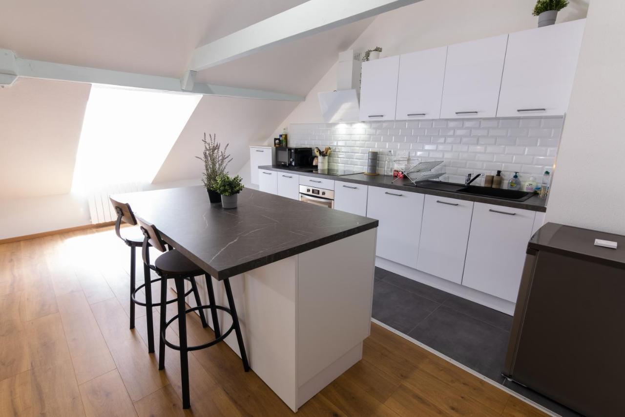 Appartement Atypique Proche Gare/ Dans L'Hyper-Centre Spacieux Pour 6P Au Coeur De Mulhouse Ngoại thất bức ảnh