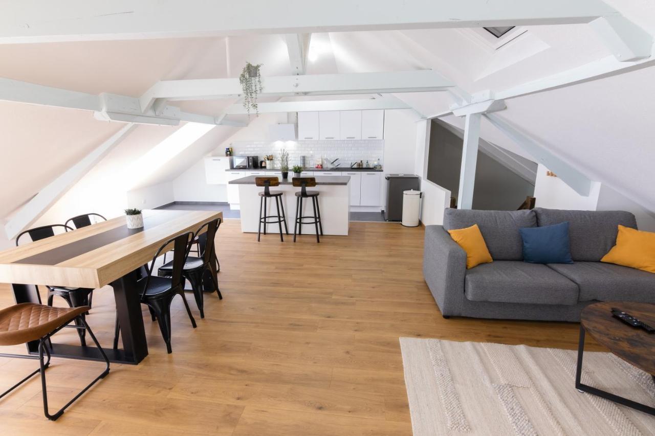 Appartement Atypique Proche Gare/ Dans L'Hyper-Centre Spacieux Pour 6P Au Coeur De Mulhouse Ngoại thất bức ảnh