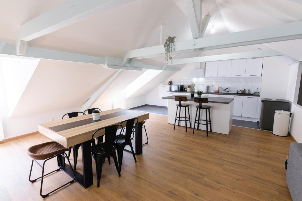 Appartement Atypique Proche Gare/ Dans L'Hyper-Centre Spacieux Pour 6P Au Coeur De Mulhouse Ngoại thất bức ảnh